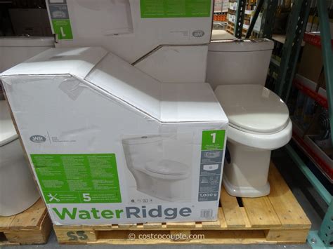 waterridge one piece toilet costco.